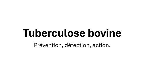 Biosécurité dans les élevages de bovins : prévenir la tuberculose_FODSA.GDS