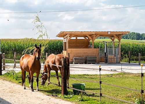 C’est décidé : je passe à l’écurie active !_ADPSA12 et Terres et Chevaux