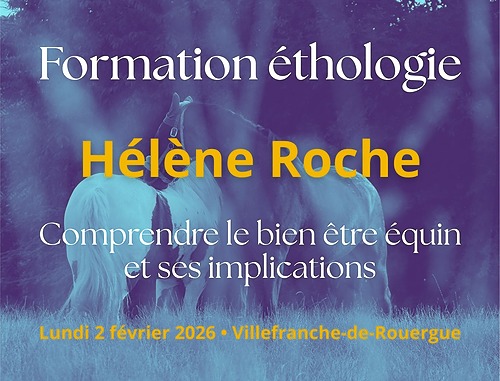 Ethologie équine : Comprendre le bien être équin et ses implications – EQUICENTRE