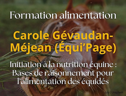 Initiation à la nutrition équine : Bases de raisonnement de l’alimentation des équidés – EQUICENTRE