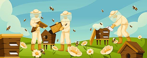 Initiation à l’apiculture : De la découverte à la gestion d’un rucher