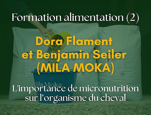 Intérêt de la micronutrition sur l’amélioration du bien-être des équidés – EQUICENTRE