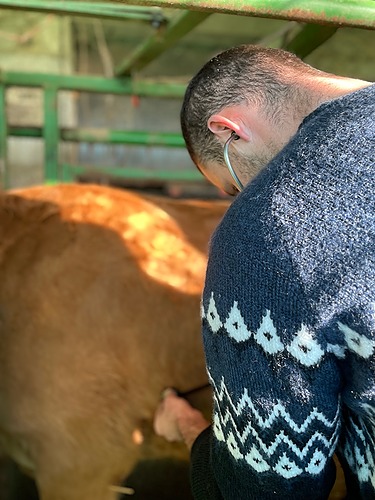 L&rsquo;éleveur infirmier proactif sur la santé de ses animaux – groupe Bovin – FODSA GDS 2026