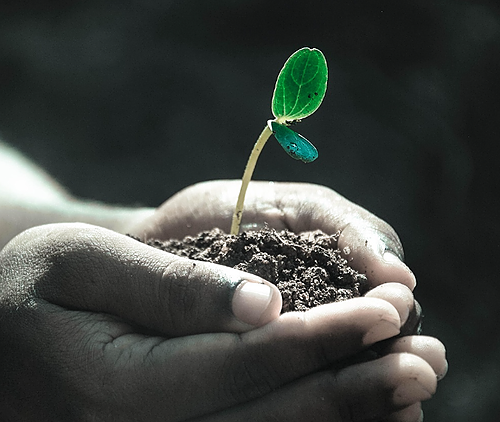 MAEC Occ 2023-2027 – Réussir sa transition vers l’agriculture de conservation en élevage bio_CA12