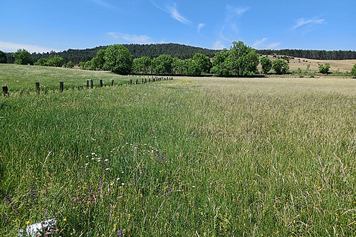 MAEC Occ 23-27 – Volet 1 – Optimiser la longévité des prairies et la gestion de l&rsquo;herbe