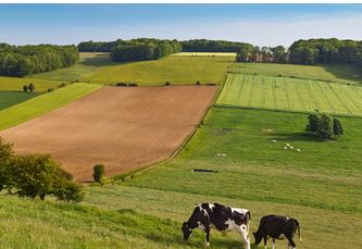 Passeport vers la haute valeur environnementale_CA12