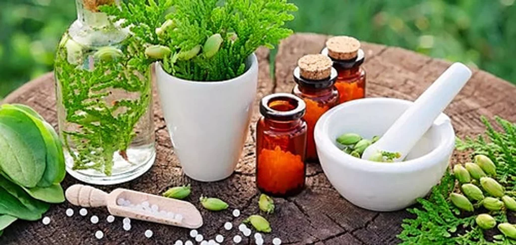 Perfectionnement à l&rsquo;homéopathie vétérinaire en bovin viande_CA12