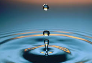 Qualité de l’eau d’abreuvement et santé animale_CA12
