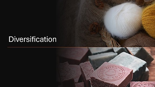 Se diversifier avec la saponification et l’élevage de chèvres angora_ FDSEA12