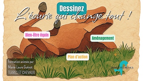 Dessinez l&rsquo;écurie qui change tout : Bien-être, aménagement et plan d&rsquo;action – La Salvetat Peyralès – Terres et Chevaux