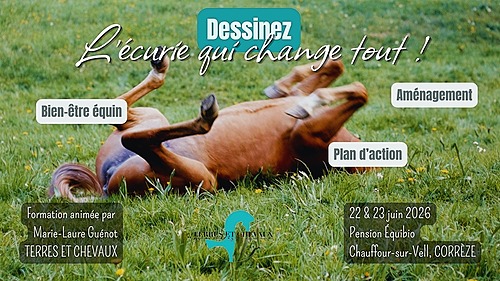 Dessinez l&rsquo;écurie qui change tout : Bien-être, aménagement et plan d&rsquo;action – Terres et Chevaux
