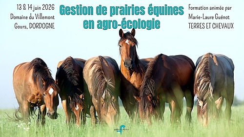 Gérer ses prairies équines en agro-écologie – Gironde – Terres et Chevaux