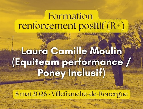 Initiation au renforcement positif avec les chevaux – L&rsquo;Equicentre