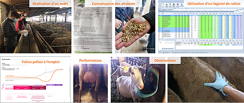 L’alimentation pratique des brebis & chèvres – ADPSA 12