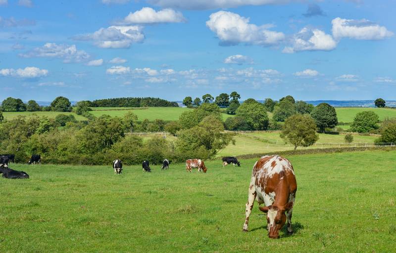 Agriculture Aveyron